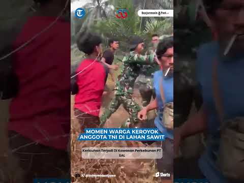 PECAH! Detik-detik Sejumlah TNI Dikeroyo-Dianiaya Warga SAD, Diduga Dipicu Persoalan TBS Sawit