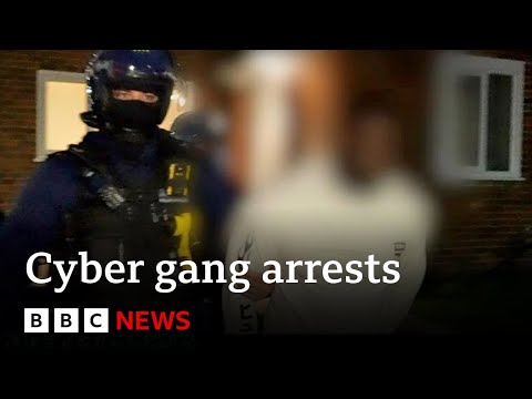 Police bust cyber gang accused of fraud worldwide | BBC News