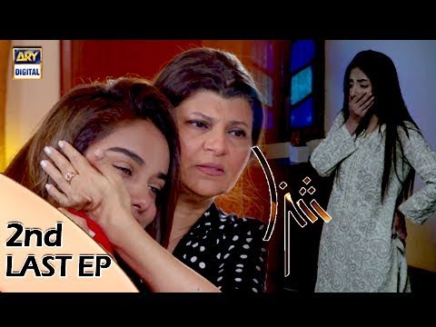 Shiza 2nd Last Episode - 18th November 2017 - ARY Digital Drama