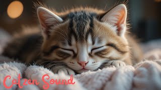Soft Purring Cat – Sleep & Relaxation Music for Deep Rest ????????