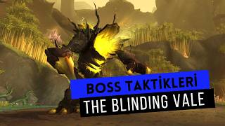 Sezon 2 Dungeon Taktikleri #1 - The Blinding Vale