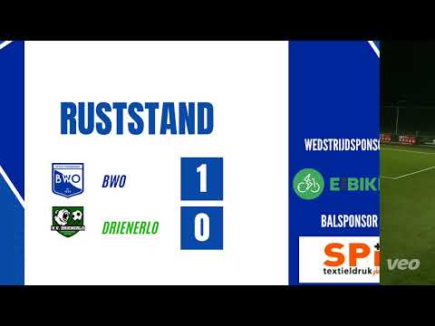 Samenvatting BWO - Drienerlo