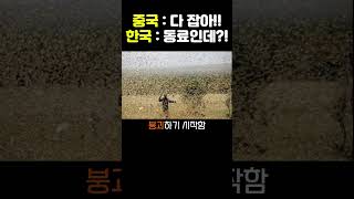 Download lagu The Legendary Story of How a Single Sparrow Changed the Fates of China and Korea mp3