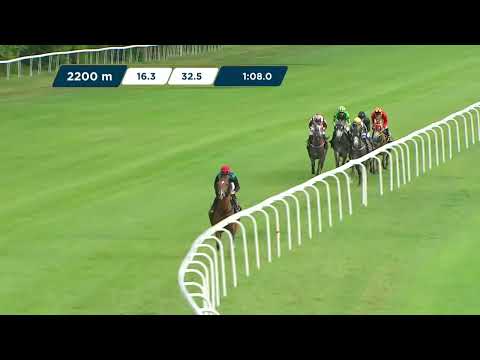 25.06.2023 - (Dzień 17; Gonitwa 8)