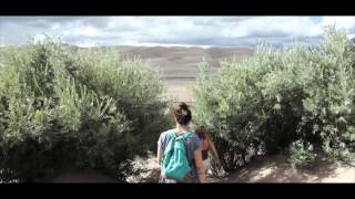 YOUNG TRICKSTERS FAREWELL MY FRIENDS