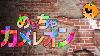 かくれんぼの神童が舞い降りた《めっちゃカメレオン》
