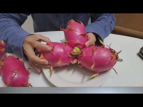 How to Eat Dragon Fruit (5 Ways) | The Best Way to Eat Dragon Fruit | 5 Ways to Eat Dragon Fruit
