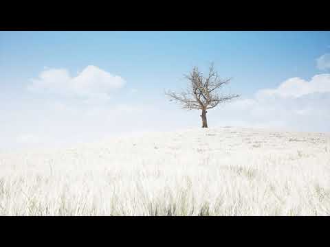 4 Seasons time lapse