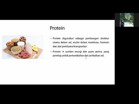 , title : 'Ilmu Gizi Dasar  : Protein'