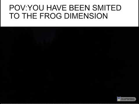 POV: FROG DIMENSION