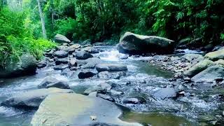 Top Sleep Expert Reveals 3 Waterfall Sounds for Calm Sleep Tonight