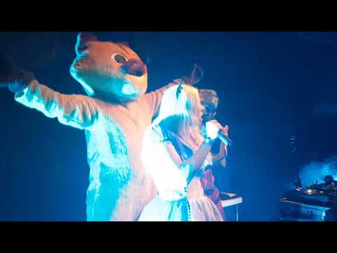 Wo sind die Katzen? Kaia Tamm Live @ UNESCON Gala Disco