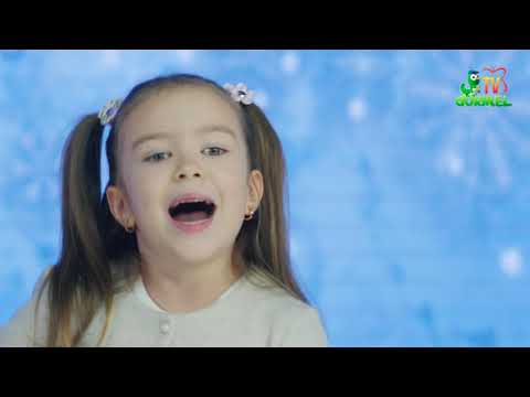 Andra Sofi Ghicavii - Iarna în Moldova