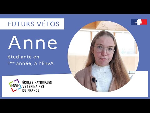 National Veterinary Schools of France (ENV) — Post-Bac entry