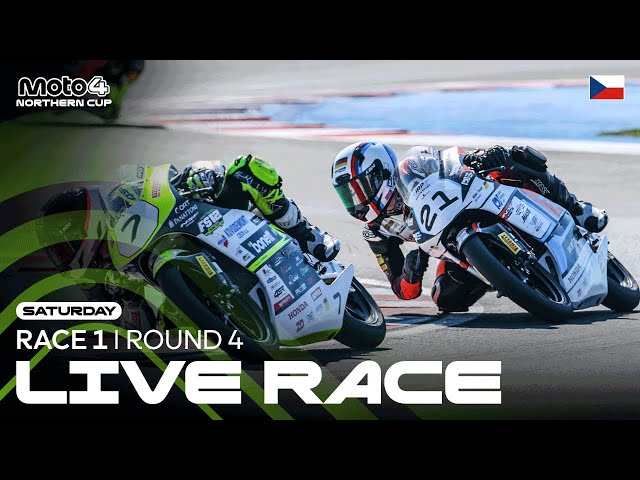Ver video en YouTube