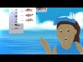 Animated infographic video for Roatan Marine Park (Producer)