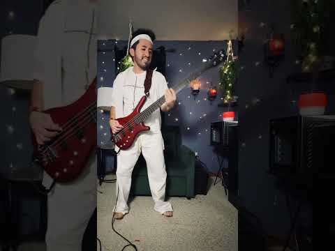 Lady Gaga - Abracadabra (Bass Cover)