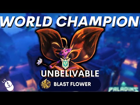 World Champion Unbelivable Willo Paladins willo Competitive