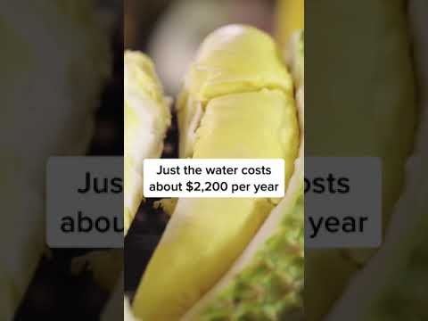 Why Durian Is So Sought-After
