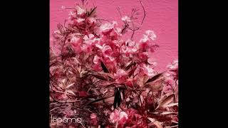 Lepisma (Full Album) 2017
