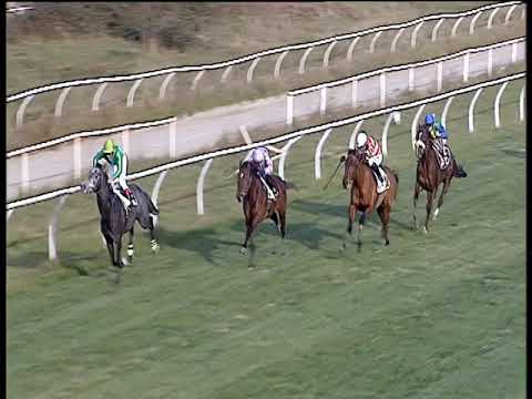 Galoppo 05/01/2019 - 1ª corsa