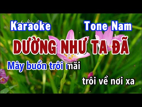 Dường Như Ta Đã Karaoke Tone Nam Bbm | Karaoke Hiền Phương