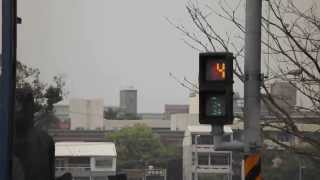 preview picture of video 'A confused pedestrian countdown signal in Taiwan'