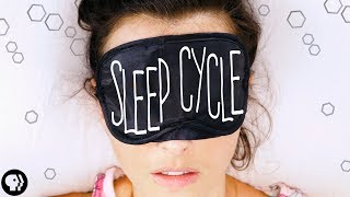 Your Biological Clock at Work