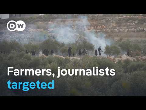 DW witnesses settlers closing in on Palestinian olive harvest | DW News