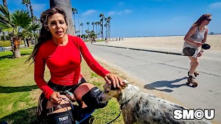 𝗗𝗢𝗚 𝗥𝗘𝗦𝗖𝗨𝗘: Venice Healer Daisy Helps Find New Home for Dog