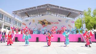 [4K] 踊り陣 叶和『翼』　ひろしまフラワーフェスティバル きんさいYOSAKOIステージ 2026