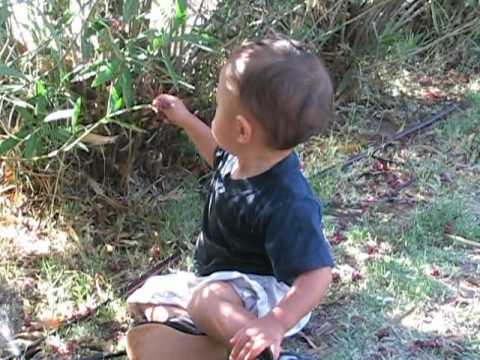 2007-04-28 Cruise-walk