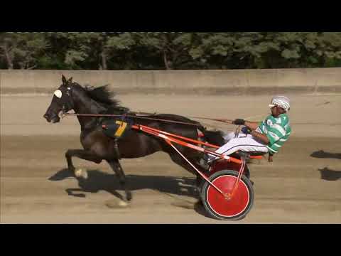 Ippodromo dei Sauri - 6° corsa dell'11 settembre 2022