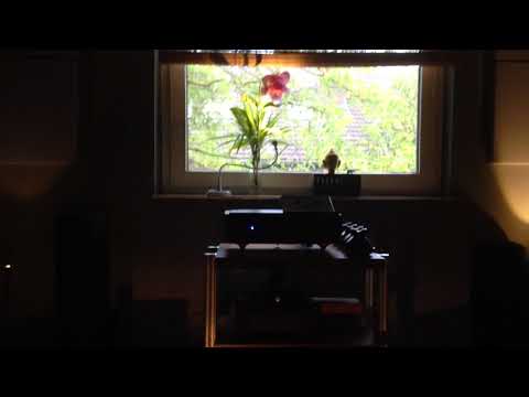 Lector Strumenti Audio Zoe Hybrid Class A-Tube-Preamp