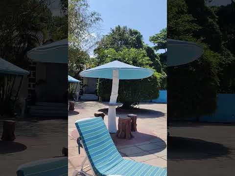 #goa#shortsvideo#srk#dil#alkayagnik#reels#music#resort#blue#love#soothing#shortsvideo#subscribe🥹💫