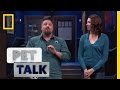 Test Your Opossum Knowledge Pet Talk