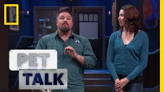 Test Your Opossum Knowledge | Pet Talk
