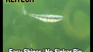 Keitech 2 easy shiner