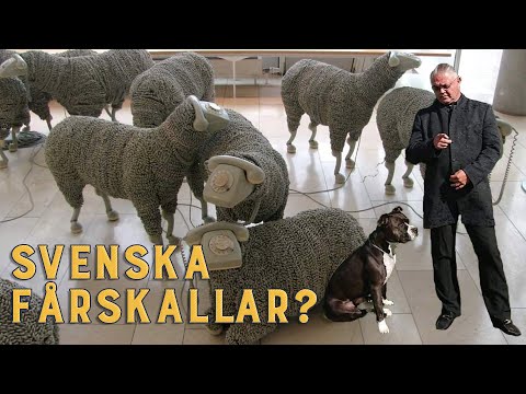 Carl Norberg 2020-08-28 - Bara döda fiskar följer strömmen