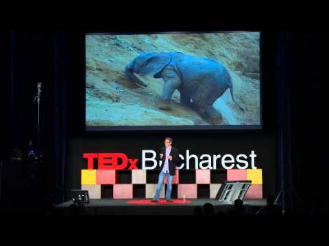 On Meaningful Risk - Nick's TEDx Talk in Bucharest 2012