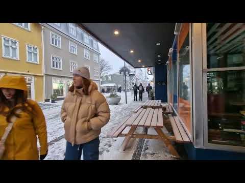WINTER IS BACK IN REYKJAVIK ICELAND WALKING TOUR