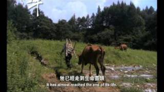 Trailer (chinese - english subs)