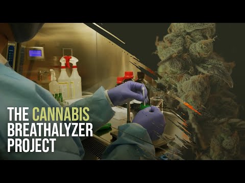 A reliable cannabis breathalyzer? Possible, but not easy | CU Boulder Today | University of Colorado Boulder
