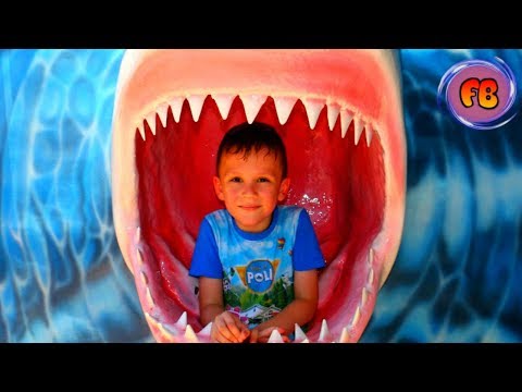  Oceanarium in Eilat Israel