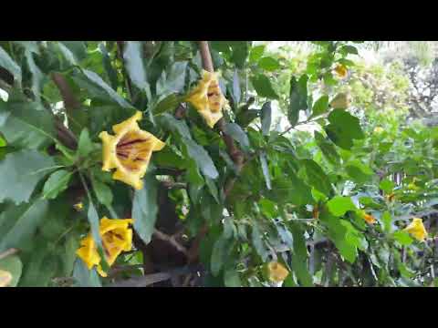 Palazzo Butera, Palermo, 5. Januar 2024