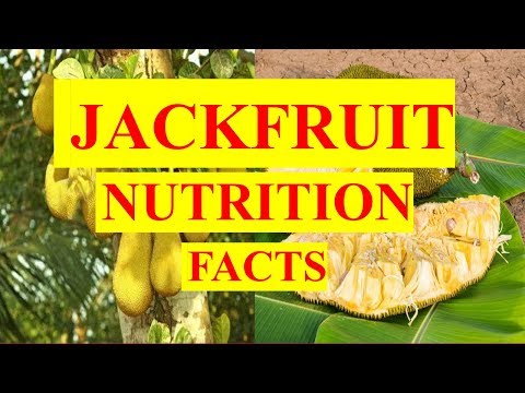 , title : 'JACKFRUIT FRUIT NUTRITION FACTS  AND HEALTH BENEFITS'