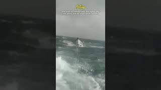 Download lagu beginilah resiko nelayan kapal slerek saat mengahadipi badai mp3