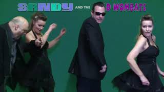Sandy and the Wild Wombats  - The Train Kept A Rollin (unofficial)