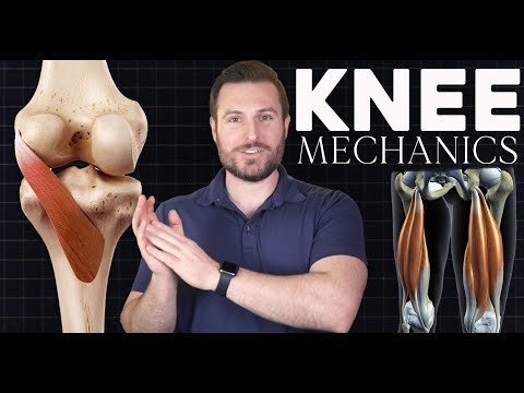 The Muscle that Unlocks the Knee: Screw Home Mechanism Explained | Corporis