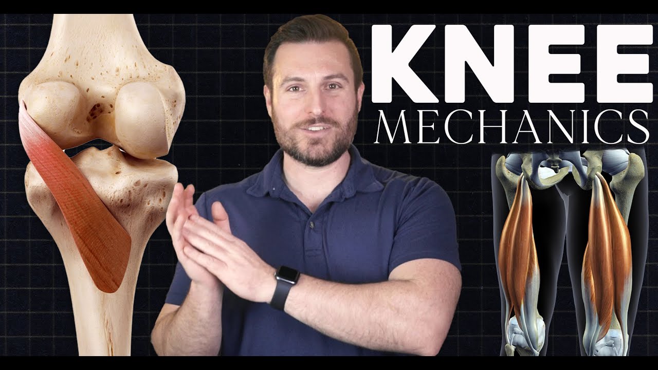 The Muscle that Unlocks the Knee: Screw Home Mechanism Explained | Corporis